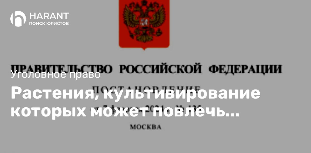 Растения, культивирование которых может повлечь уголовную ответственность