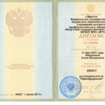 Диплом Липунова А.В. - Липунова Алена Валерьевна