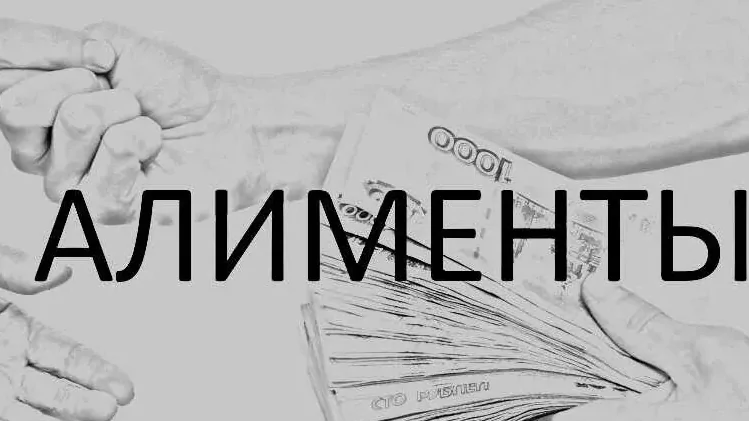 Юрист Романенко Сергей Сергеевич объясняет: Коротко об алиментах