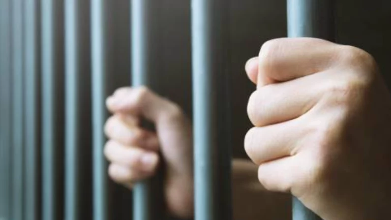 Адвокат Богачева Лариса Леонидовна объясняет: “Гибридные колонии”