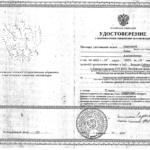 Курс на экспертизу - Морозова Елена Александровна