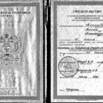 Свидетельство на регистратора - Морозова Елена Александровна