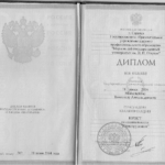 Диплом Московского В.А. ВСВ 0031852 от 28.06.2004 г. на 1 л. - Московский Вячеслав Александрович