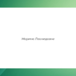 Курс алиментные обязательства - Чемикос Марина Леонидовна