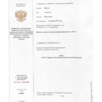 Диплом специалиста - Попова Анжелика Витальевна