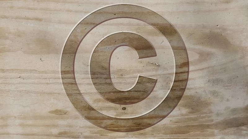 Юрист Шилина Вера Петровна объясняет: Защита прав на товарный знак