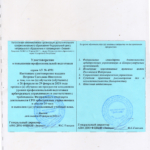 Повышение квалификации 2024 - Петрова Светлана Ивановна