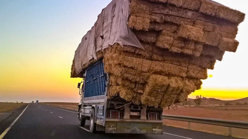 Юрист Солдатова Надежда Александровна объясняет: Вниманию перевозчиков. ПЕРЕГРУЗ или как обжаловать штраф