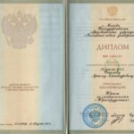 Диплом Соколов А.А. - Соколов Артем Александрович