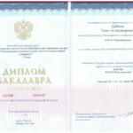 Диплом: Томский государственный университет, 2019 — Цыпкин П.А.