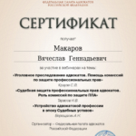 Сертификат - Макаров Вячеслав Геннадьевич