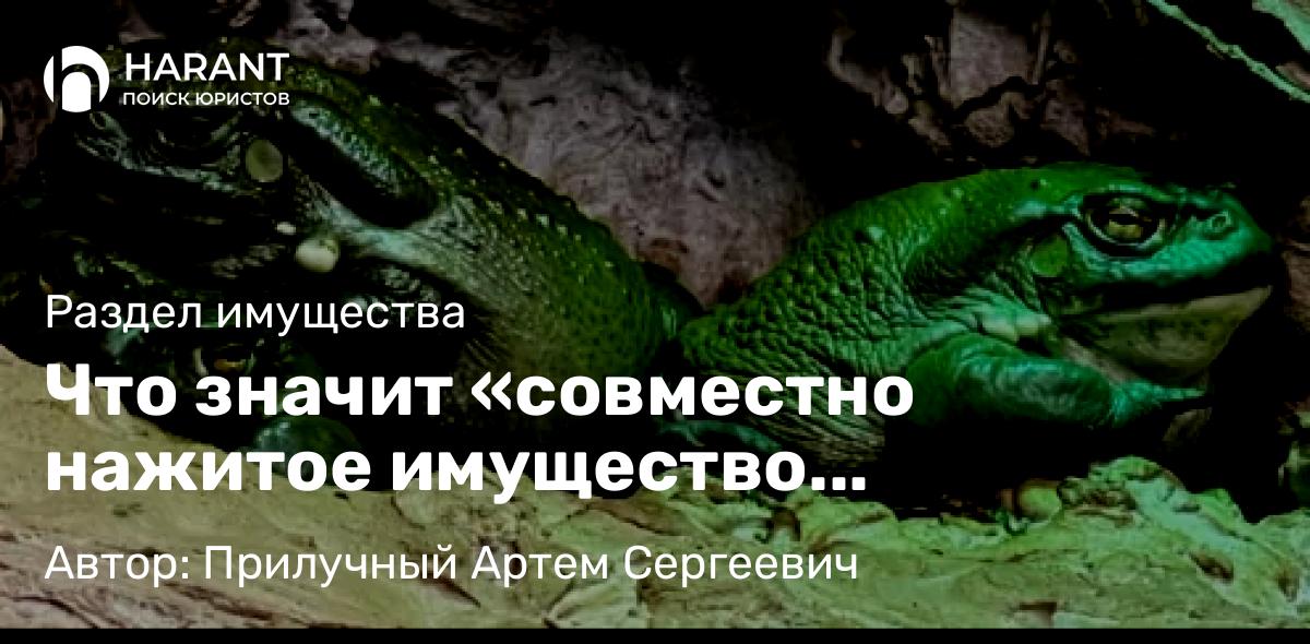 Юрист Прилучный Артем Сергеевич объясняет: Что значит «совместно нажитое имущество супругов»?