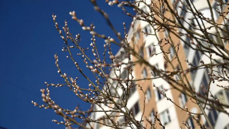 Юрист Степанова Анна Вячеславовна объясняет: Изменения в законах о недвижимости в апреле 2024