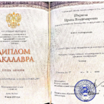 Диплом Ширяев И.В. - Ширяева Ирина Владимировна