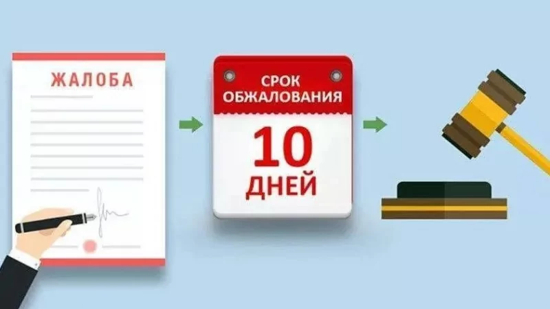 Юрист Бендер Андрей Владимирович объясняет: Какие документы необходимы для успешного оспаривания штрафов?