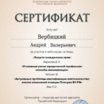 Сертификат 4 - Вербицкий Андрей Валерьевич