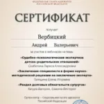 Сертификат 5 - Вербицкий Андрей Валерьевич
