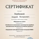 Сертификат 6 - Вербицкий Андрей Валерьевич