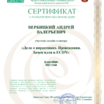Сертификат 8 - Вербицкий Андрей Валерьевич