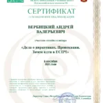 Сертификат 8 - Вербицкий Андрей Валерьевич
