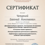 Сертификат 2 - Чепурной Евгений Николаевич