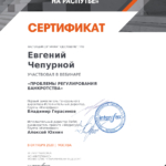 Сертификат 6 - Чепурной Евгений Николаевич