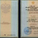 диплом - Гуляева Нелли Врежовна