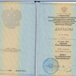 Диплом - Габдрахманова Елена Викторовна