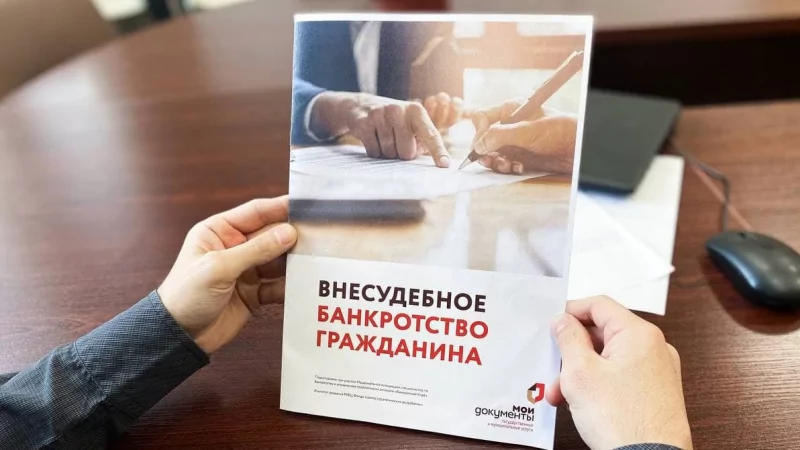 Юрист Гуляева Нелли Врежовна объясняет: Как подать заявление о банкротстве в МФЦ