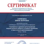 Сертификат 2 - Скрипкина Елена Петровна