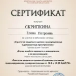 Сертификат 5 - Скрипкина Елена Петровна