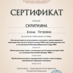 Сертификат 6 - Скрипкина Елена Петровна
