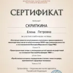 Сертификат 6 - Скрипкина Елена Петровна