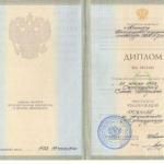 Диплом - Скрипкина Елена Петровна