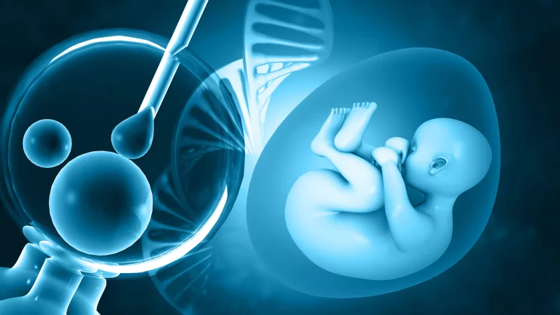 Юрист Бендер Андрей Владимирович объясняет: Консультация медицинского юриста по процедуре экстракорпорального оплодотворения (ЭКО)