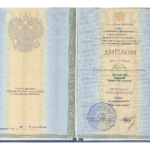 Диплом основной - Леонтьева Мария Михайловна