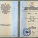 Диплом: Алтайский государственный университет, 2008 — Волков Н.А.