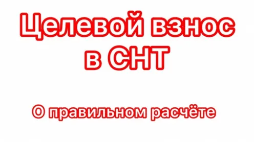 Вижу много вопросов и спора на тему целевых взносов, вот мое видение на данную тему