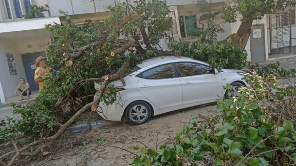 Юрист Гефтман Андрей Владимирович объясняет: За упавшее дерево отвечает Управляющая компания.