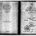 Диплом Зотов А.В. - Зотов Алексей Викторович