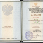 Диплом - Нючев Евгений Александрович