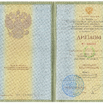 Диплом - Калинникова Кристина Игоревна