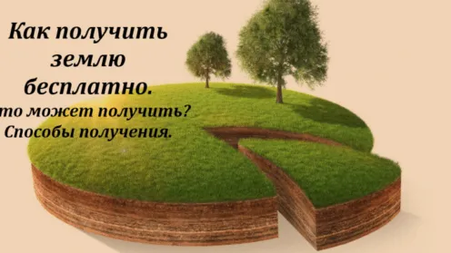 Как в России получить земельный участок инвалиду в 2022 году. Как можно получить земельный участок б