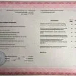 Диплом 2 стр - Сотскова Валерия Валерьевна