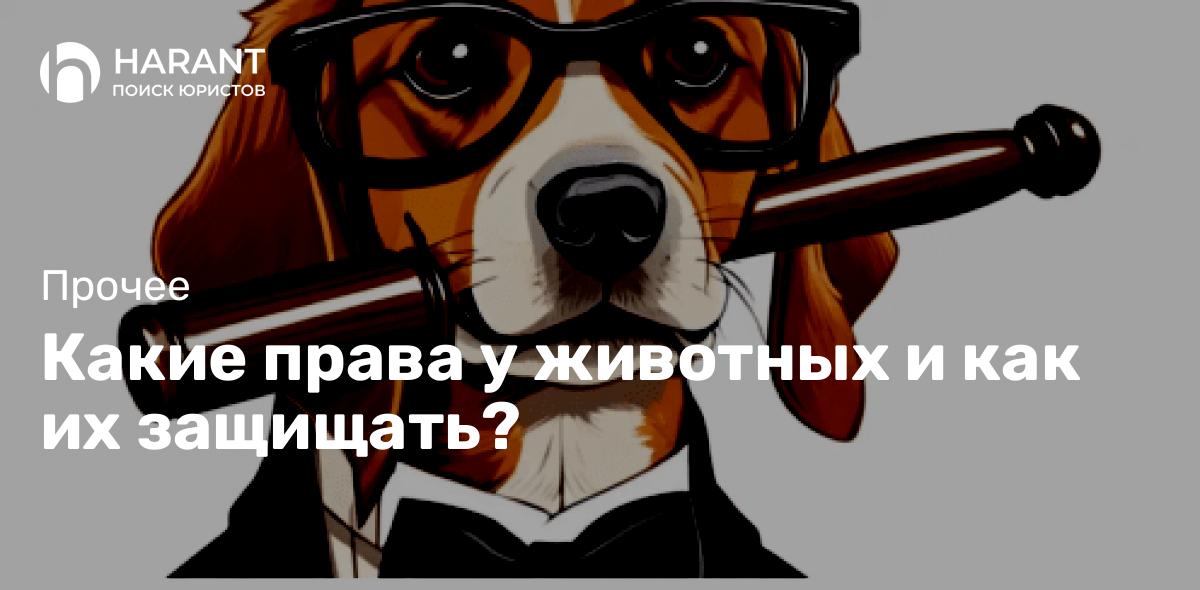 Какие права у животных и как их защищать?