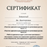 Сертификат ФАП - Зелинский Ян Викторович