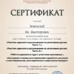 Сертификат ФАП - Зелинский Ян Викторович