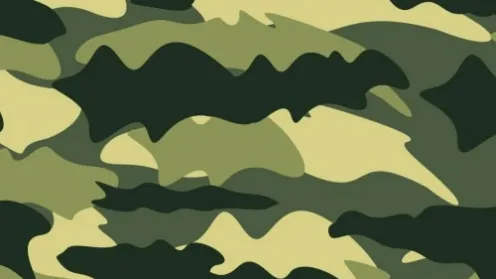 Какие основные права у военнослужащих?