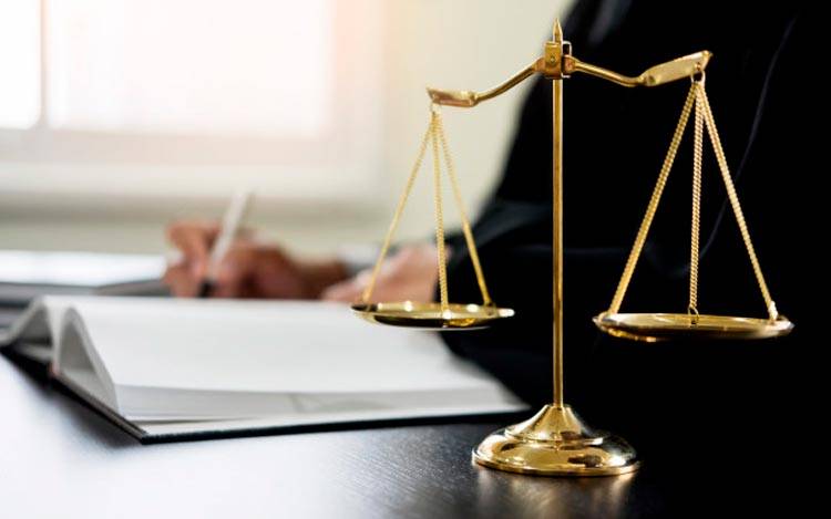 Адвокат Скрипкина Елена Петровна объясняет: Комитет Госдумы выступил против послаблений для многодетных отцов в мобилизацию