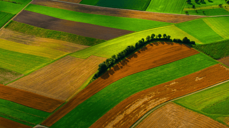 Адвокат Кузьмина Александра Николаевна объясняет: Ошибки, связанные с межеванием земельного участка